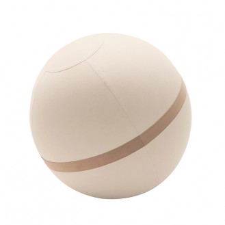 Pilates Ball_Brown